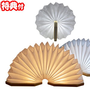 EXELUX AR[fBILEDCg SZSAL-WEHibg GO[bNX USB[dCg Ɩ Cg CeAƖ Jpx fUCCg CeACg