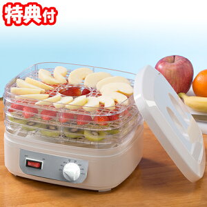 hCt[c[J[ v`J Ki-90554 hCt[h[J[ ؊@ hCt[c@ Hi@  ʕ@ t[c  ʕ  Lb` ֗ObY