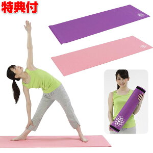 アルインコ ブランド ヨガマット 厚め6mm FYG606P ピンク FYG606V バイオレット 固定バンド付 衝撃吸収 滑り止め ALINCO ヨガ 運動 体操 ストレッチ 自宅で運動 自宅ヨガ 軽量 ストレッチマット 自宅
