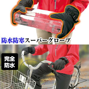 hEhX[p[O[u ɊO[u h O[u oCNO[u Ⴉ O[u hO[u  N Sh 4w\ hV[g GR Ⴉ 