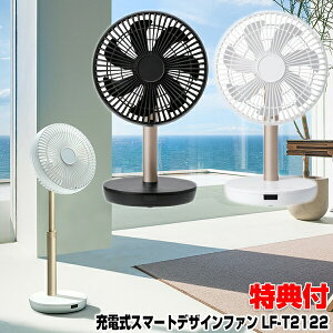 X[Abv LF-T2122 [d fUCt@ R[hX@ ĕƓd    LFT2122   o[xL[  Вn  p Вn  fUC@ 