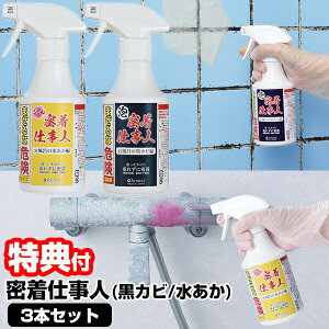 { dl 3{Zbg Jr A-77377 /  A-77650 250ml ǂ炩Iт A[lXg C  C̍Jr C̐ JrƂ | C ѕ 