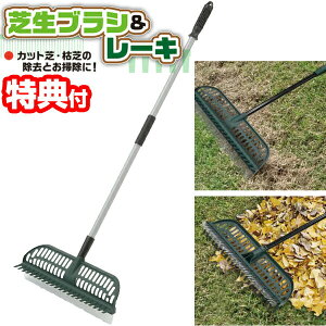 伸縮式 芝生ブラシ&レーキ 芝ブラシ レーキ ガーデニング 庭 芝生 人工芝 ブラシ ガーデン用品 しばふ 芝ブラシ 掃除 落ち葉 枯草 外掃除 熊手 芝生掃除 芝生クリーナー 芝生モップ ホウキ