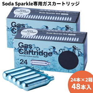 48 \[_Xp[N pKXJ[gbW 24{×2i48{j Soda Sparkle ƒp\[_}V KXJ[gbW J[gbW Y_[J[ Y_@ Y_EI[^[ pKX