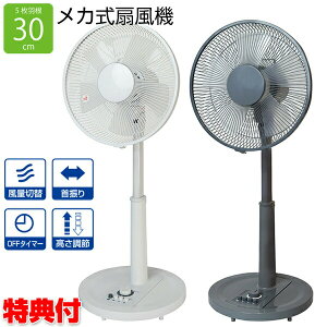 �e�N�m�X KI-1710(W) �z���C�g KI-1710(G) �O���[ 30cm ���r���O���J��@ ���r���O�t�@�� ���J����@ 30cm5���H�� ��@ ���J��@ ���r���O �q������ �Q����@ �a����@ ���� �������� 