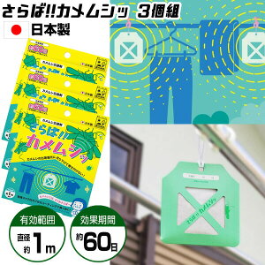 !!JVb 3Zbg JV JV Op JV ݂艺 3 EXv[ JVN h~ \h    x_   ΂߂ނ T