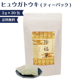 日本山人参【お茶 ファミリータイプ(3g×30包)】1袋・3袋セット 大容量 お徳用 1か月分 日本山ニンジン にほんやまにんじん ヒュウガトウキ 自社農園 無添加 無農薬 温活 冷房対策 冷え性 血圧 血糖値 健康茶 YN-1