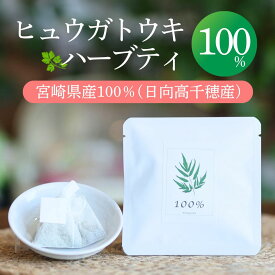 ヒュウガトウキハーブティー100％【ティーパック】2包・7包・20包 日本山ニンジン にほんやまにんじん ヒュウガトウキ 自社農園 無添加 無農薬 温活 冷房対策 冷え性 健康茶 YN-1