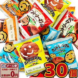 【ゆうパケットメール便送料無料】不二家 カントリーマアム ココア 30個【 お祭り イベント お菓子 業務用 大量 お菓子 おやつ お試し ポイント消化 1000円ポッキリ 限定 駄菓子 ばらまき