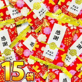【ゆうパケットメール便送料無料】当店だけ！ 感謝チョコクッキー 15袋【販促品 父の日 景品 子供 お祭り イベント お菓子 お試し お菓子 プレゼント お菓子 駄菓子 チョコ クッキー クッキー 訳あり クッキー 訳あり 個包装 クッキー 】