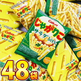 【平日正午までの注文で最短翌日お届け】【送料無料】カルビー じゃがりこ サラダbits 1袋(14g)×48袋【 業務用 大量 お菓子 おやつ スナック菓子 お菓子 駄菓子 つかみどり】