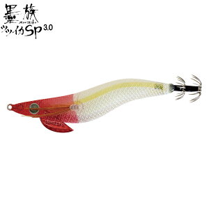 yubNtCf[Ԓ |Cg10{z n~c [90] n ccCJSPJ[ 3.0 T05 ԔNA (N2)