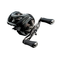 楽天市場】ダイワ(DAIWA) バスベイトリール 24STEEZ(スティーズ) SV TW  