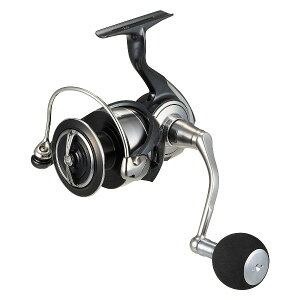 _C [90] 24 Ze[g SW 6000-XH (G1)