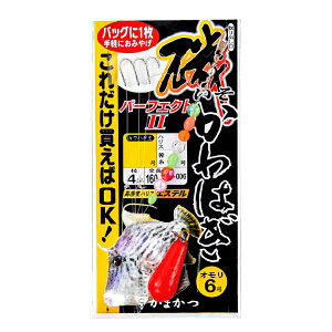 ܂ [1] 41-006 JnMp[tFNgd|2 4 (N5)