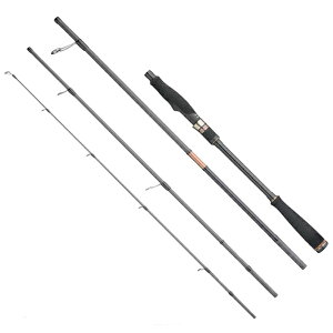 �y3/31�܂Ń|�C���g�A�b�v20�{�I�z �A�s�A [90] 25 VOYAGER EX IV (�{�C�W���[ �C�[�G�b�N�X �t�H�[) SEAFARER S76M