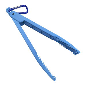 �y�X�[�p�[SALE���Ԓ� �|�C���g10�{�z �t�@�C�u�X�^�[ [D2] �A���C�u �p�C�N ���C�g�u���[