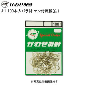 킹ݐj [1] J-1 100{oj Pt() 10 (N15)