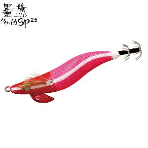 n~c [90] n ccCJSPJ[ 2.5 T10 bhsL[R (N2)