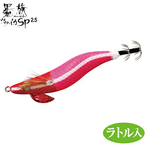 n~c [90] n ccCJSPJ[ g 2.5 TR10 bhsL[R (N2)