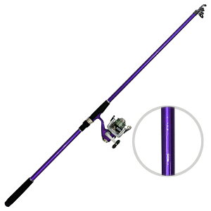 t@CuX^[ [D2] j[I[Vg[C 300 p[v [t