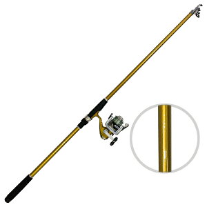 t@CuX^[ [D2] j[I[Vg[C 300 CG[ [t