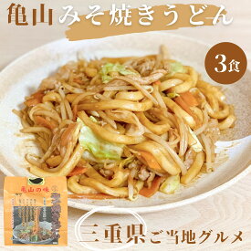【レビューで5％OFFクーポン】三重県ご当地 亀山名物みそ焼きうどん【3食入り】オリジナルピリ辛味噌だれ付き 三重県産小麦粉100％使用　☆レビューを書いて次回使える5%OFFクーポンプレゼント☆