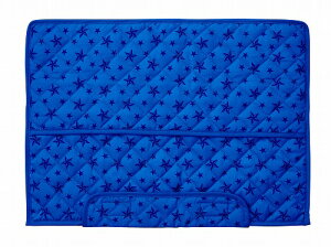 STAD2019VwwZhГЃJo[izcɂȂhЂj@lCr[iST121NBj