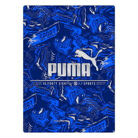 楽天市場 下敷 スポーツブランドの通販