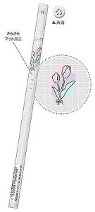 gebvN[AiQ|LIAjMiB^ێj4{ZbgiQL-64076j