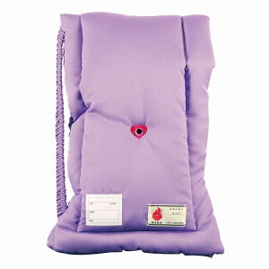 OcottSqphЂzc&wJo[ƂĂg܂wphГГ{hЋFhАii{jiKZ010j