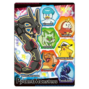 |PbgX^[[|P]PocketMonsterN[L[gV[Y~i802-7290-02/03j