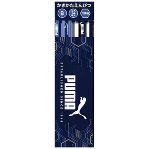 v[}[PUMA]iNcjMBi҂_[XjiPM446j