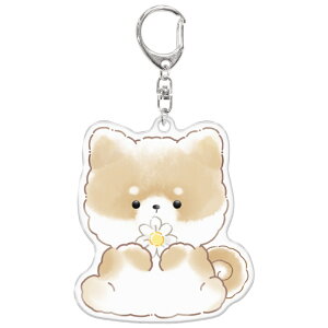 낿񂸁iVo^jNbNXiCRUXjȂ܂L[z_[iʖOtl[^OL[z_[jiCR123735j