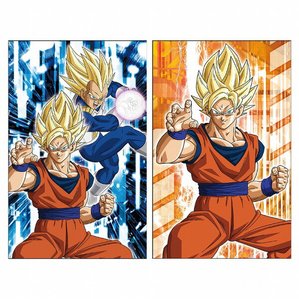 ドラゴンボールZ（DRAGONBALLZ） ポチ袋（２柄セット）（600-2700-13X2）