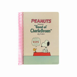 Xk[s[PEANUTS(AC{[)FavoriteStoryvOm[gB6irj(S2643650)