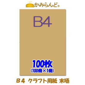 【B4】 クラフト用紙　未晒 100枚 格安　クラフト紙