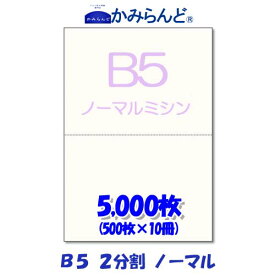 【B5】2分割 ミシン目入り用紙 5,000枚　高級上質コピー用紙 ミシン目用紙 各種帳票 伝票用に ミシン入用紙 帳票用紙2面 カット紙