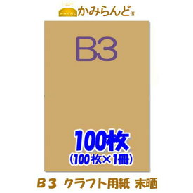 【B3】 クラフト用紙　未晒 100枚　格安　クラフト紙