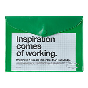 ftHjbNXdelfonics rj[u[tP[X A6 S10F 500108