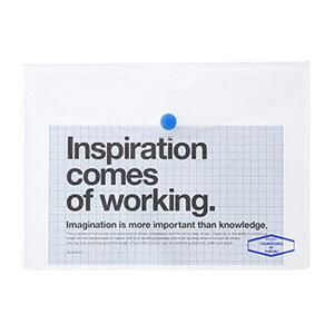 ftHjbNXdelfonics rj[u[tP[X A6 S10F 500108