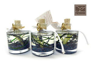 Rkhv@XCollinesDeProvence t[ICvFlowerOilLamp x_[