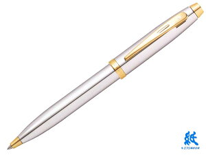 VF[t@[SHEAFFER {[y100|bVgN[GTT{[y N2934051