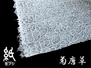 a Za  ÊCg//Ԗ//e 荗