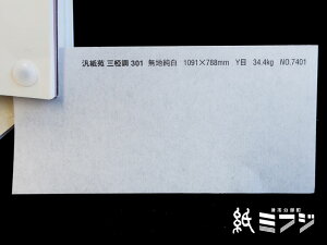 a  ĎpVI O 301 n 1091x788mm 34.4kg no7401