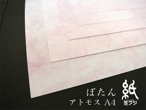 t@V[y[p[ VAgX A4 20 S2F