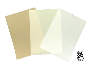 t@V[y[p[ ]ˏ͂ Lk/ A4 20