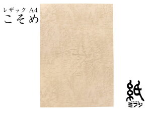 t@V[y[p[ UbN66  175kg A4 20