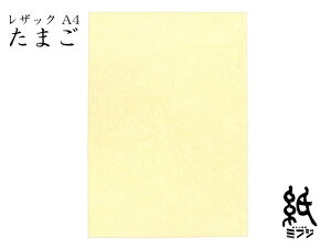 t@V[y[p[ UbN66 ܂ 175kg A4 20