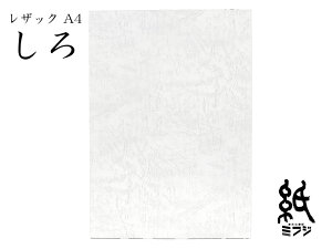 t@V[y[p[ UbN66  175kg A4 20